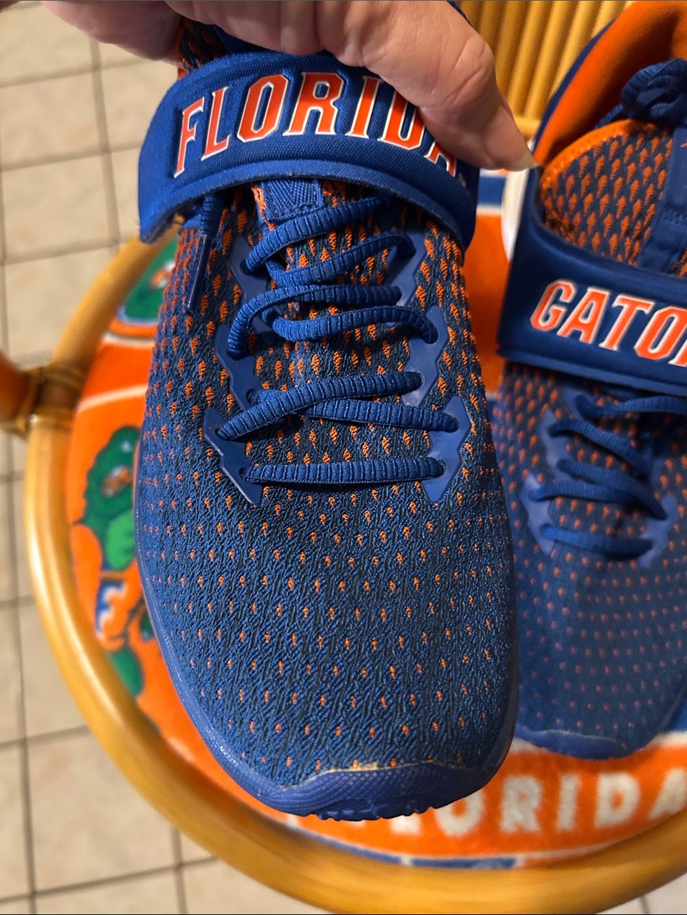 Florida gators - Picture 4 of 9